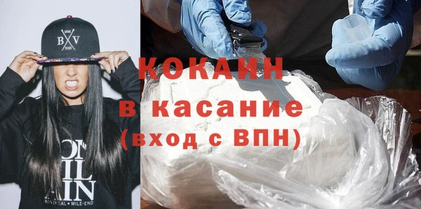 шишки Армянск