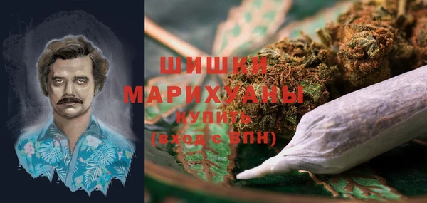шишки Армянск