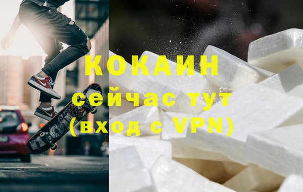 шишки Армянск