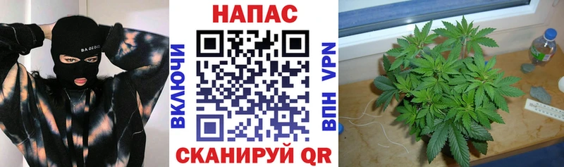 Шишки марихуана Ganja  Соль-Илецк 